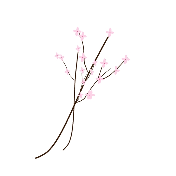 春季樱花png素材