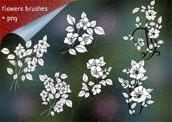 漂亮的鲜花花朵图案Photoshop花纹笔刷