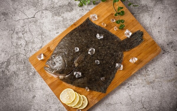 多宝鱼美食食材背景海报素材图片