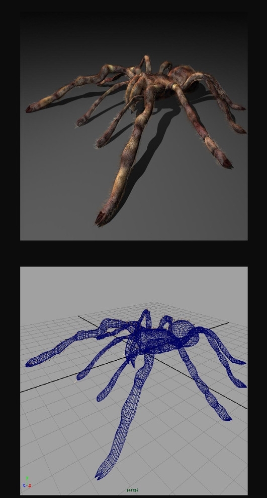 maya模型蜘蛛图片