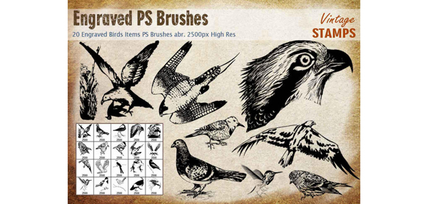 20款复古的鸟类图案PS笔刷