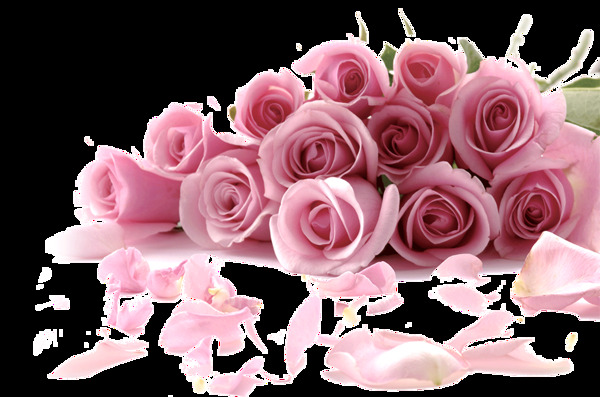 粉色玫瑰花朵情人节元素设计