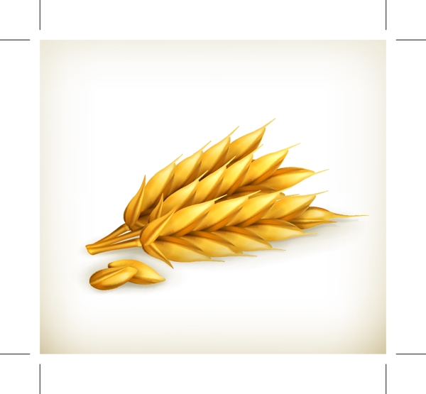 3D立体金色小麦