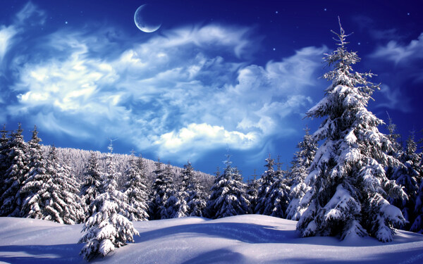 唯美冬季夜晚美景图片
