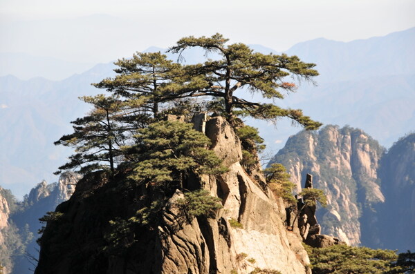 黄山风景图片