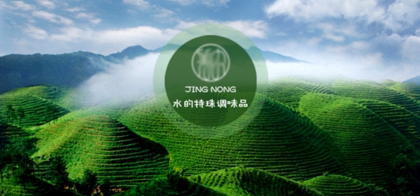 绿色茶叶banner图