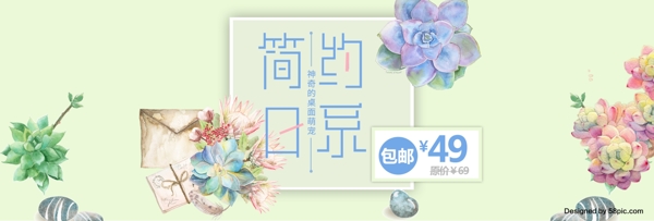 淡绿色简约日系文艺多肉植物淘宝电商天猫海报banner