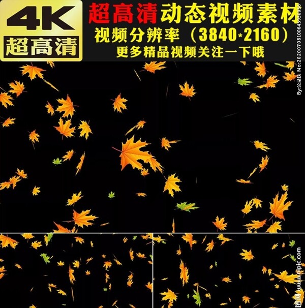 金黄色枫叶下落动画视频素材