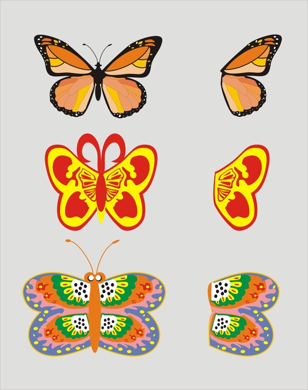 矢量蝴蝶花纹图案