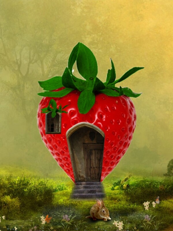 非常可爱的红色草莓小居