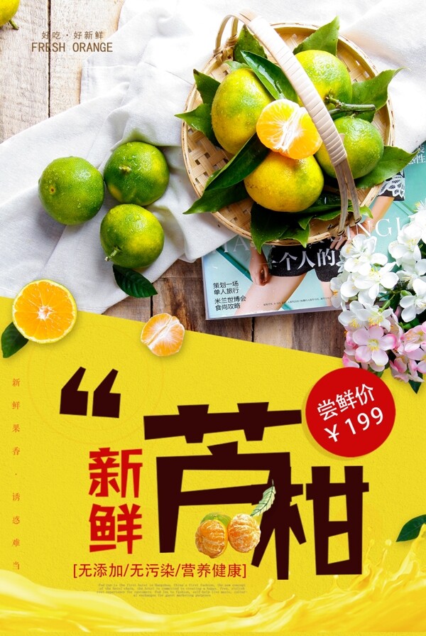 大气时尚新鲜芦柑水果促销海报