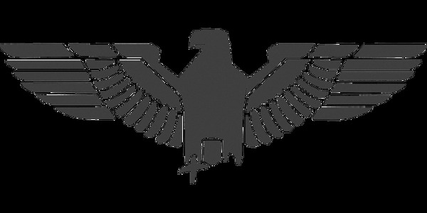 抽象灰色老鹰标志免抠png透明素材