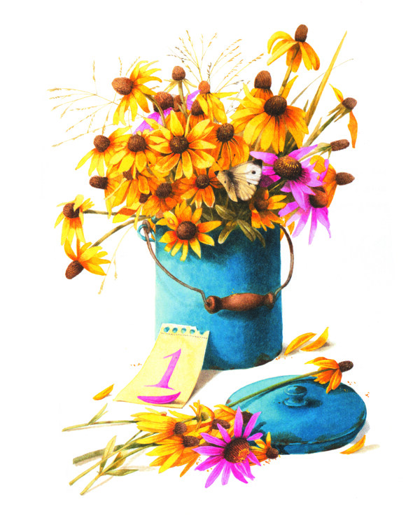 花卉植物手绘插画