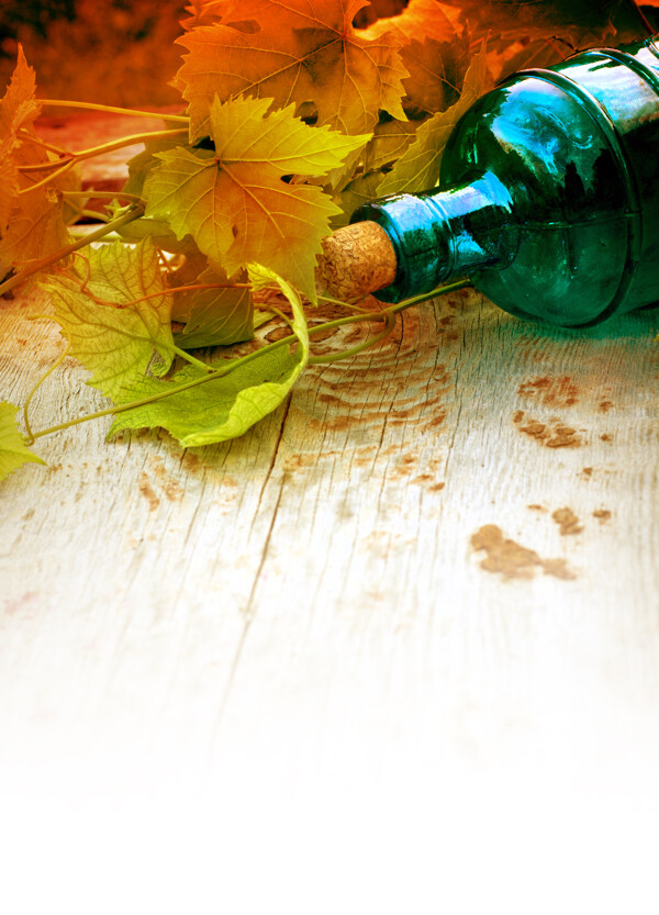 玻璃酒瓶与葡萄叶图片