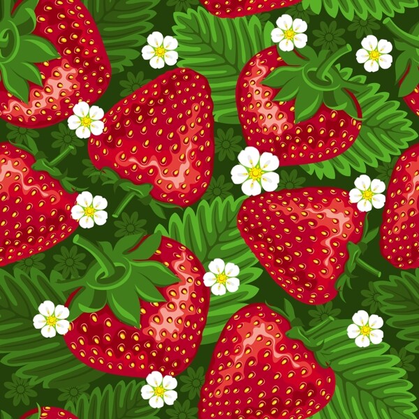 草本植物草莓