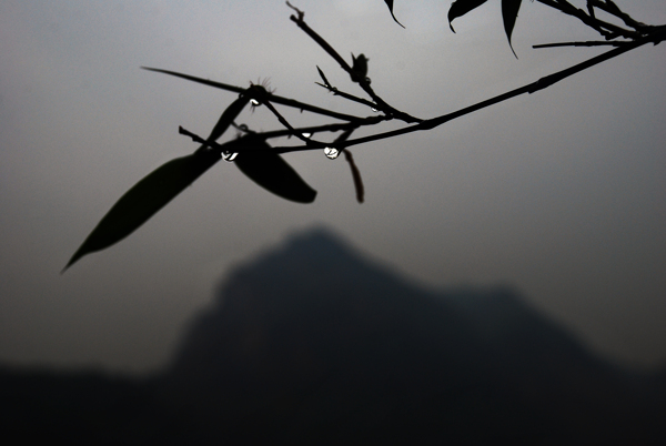竹子远山山的剪影图片