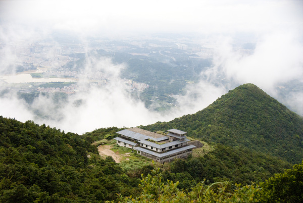 雾起梧桐山图片