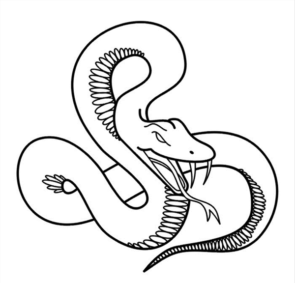 蛇矢量图图片
