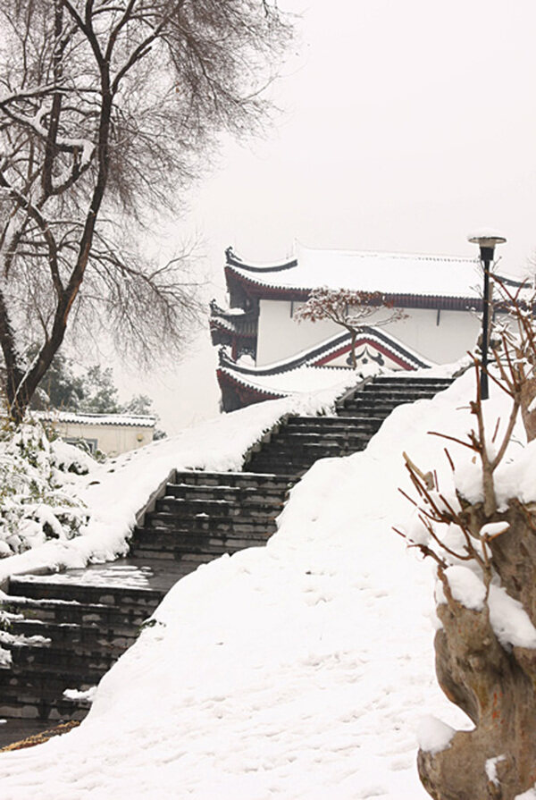 雪景雪地树木枯树冰河房子风景自然景观自然风景摄影图库