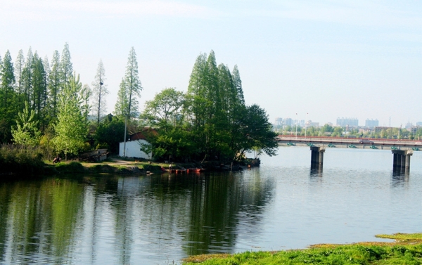 河岸风景图片