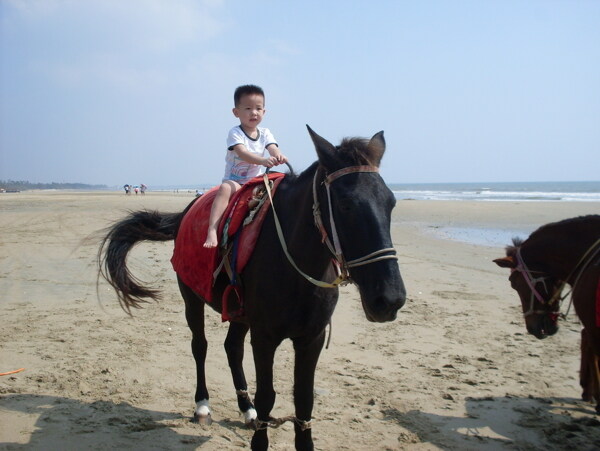 儿童骑马图片