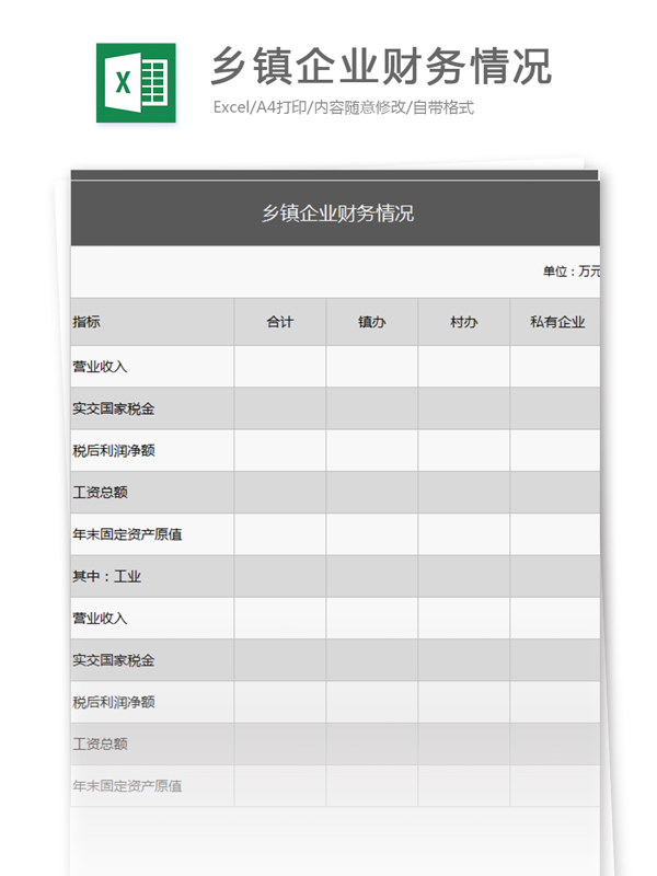 乡镇企业财务情况excel表格模板