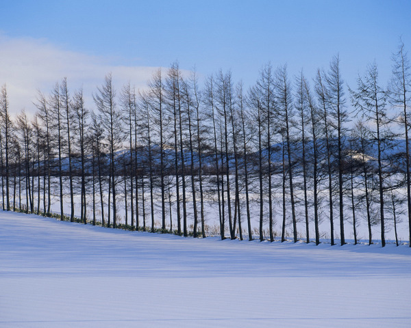 冬天雪景