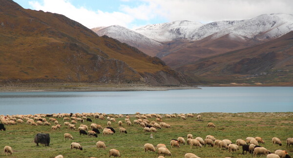 羊湖