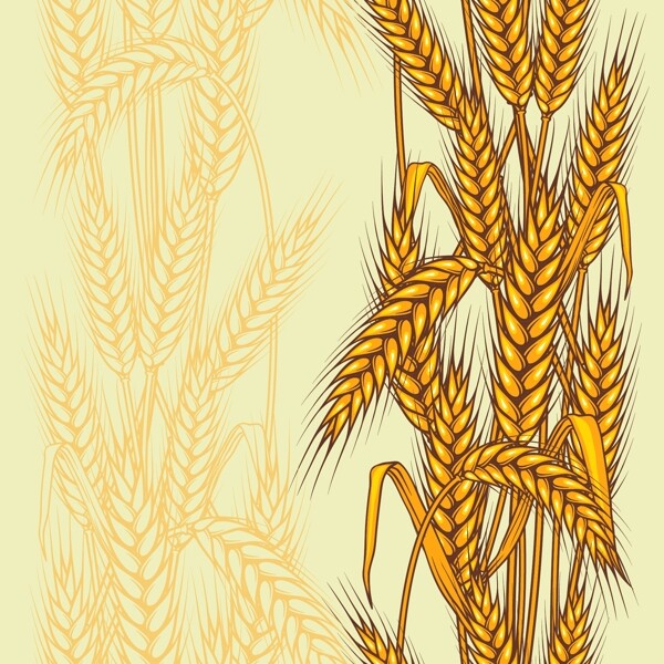 手绘麦穗背景标签图片