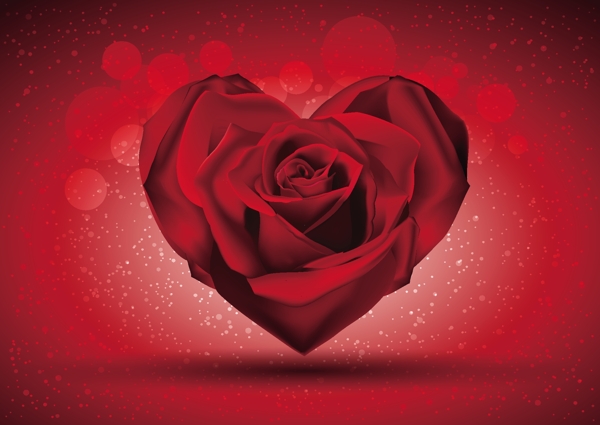 在心脏的形状的红玫瑰