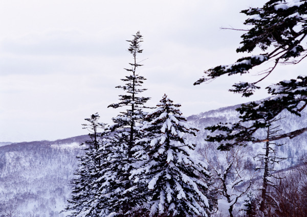 冰雪景象