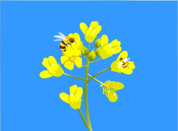 采花的蜜蜂flas素材