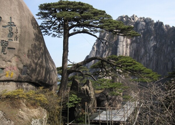 黄山风景图片