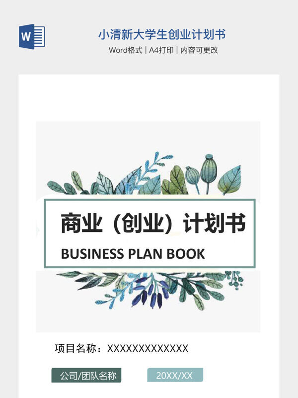 小清新大学生创业计划书