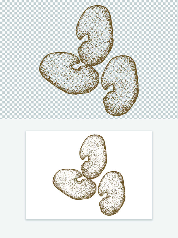 创意手绘中药材沙苑子线稿