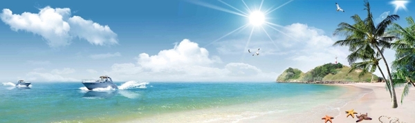海边沙滩白云椰子海星