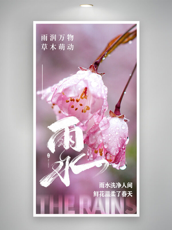 雨润万物草木萌动雨水节气粉色鲜花海报