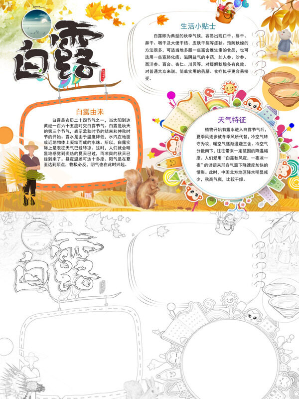 白露二十四节气手抄报
