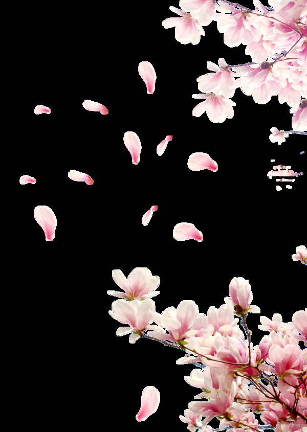 三月飞舞桃花花瓣png元素素材