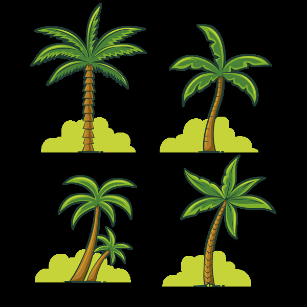 棕榈树椰子树免抠png透明图层素材