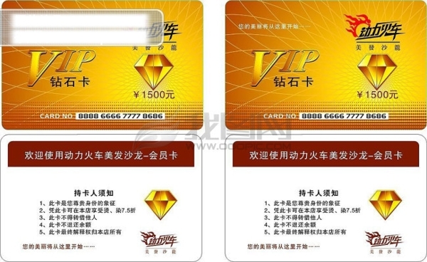 VIP卡会员卡金卡银卡积分卡矢量图库