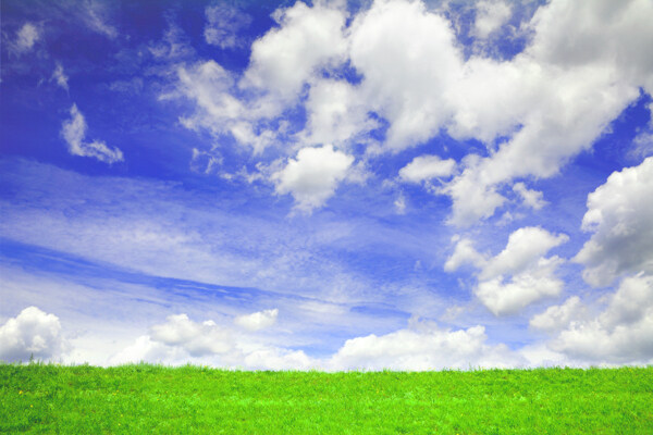 蓝天白云与草地图片