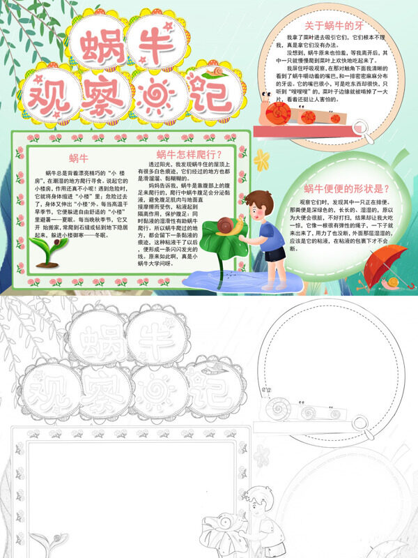 蜗牛观察记介绍蜗牛的生活习手抄报