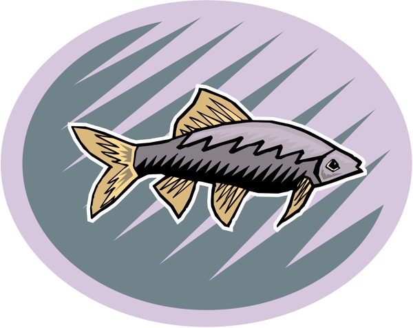 五彩小鱼水生动物矢量素材EPS格式0703