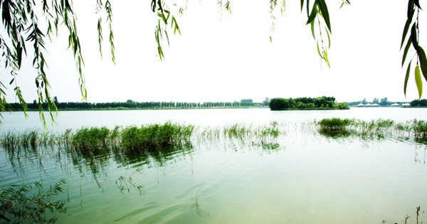 雁鸣湖景区图片