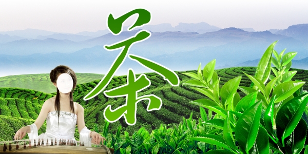 茶场广告图片