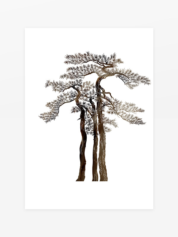 松树设计元素图片素材