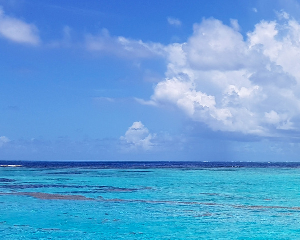 海洋
