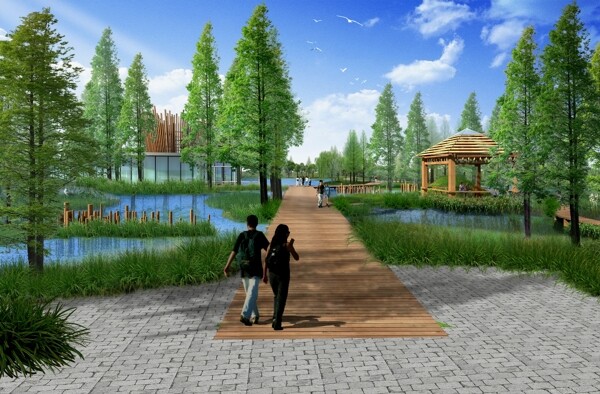 湿地公园景观设计图片