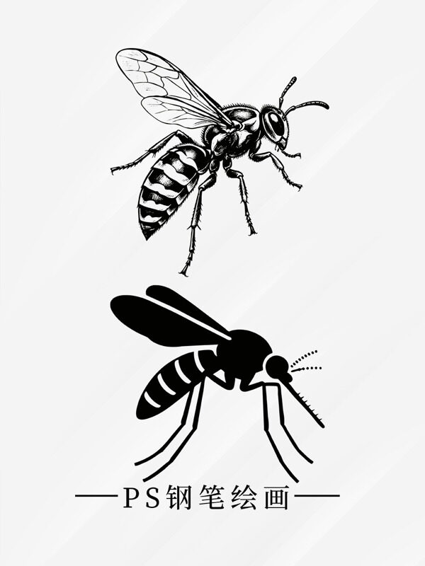 蜂类昆虫线稿剪影图案